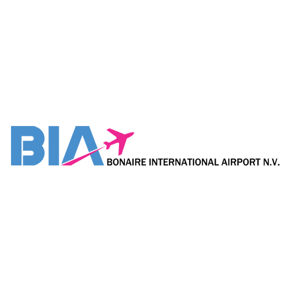 BIA airport RCR tool